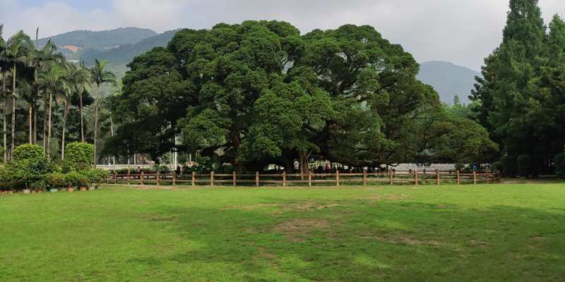 福州英諾科技全體員工于福州國家森林公園開展團(tuán)建活動